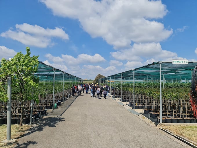 Exoticplant Vivaio di Francesco Maule