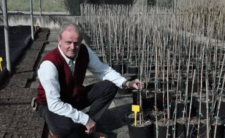 Exoticplant Vivaio di Francesco Maule