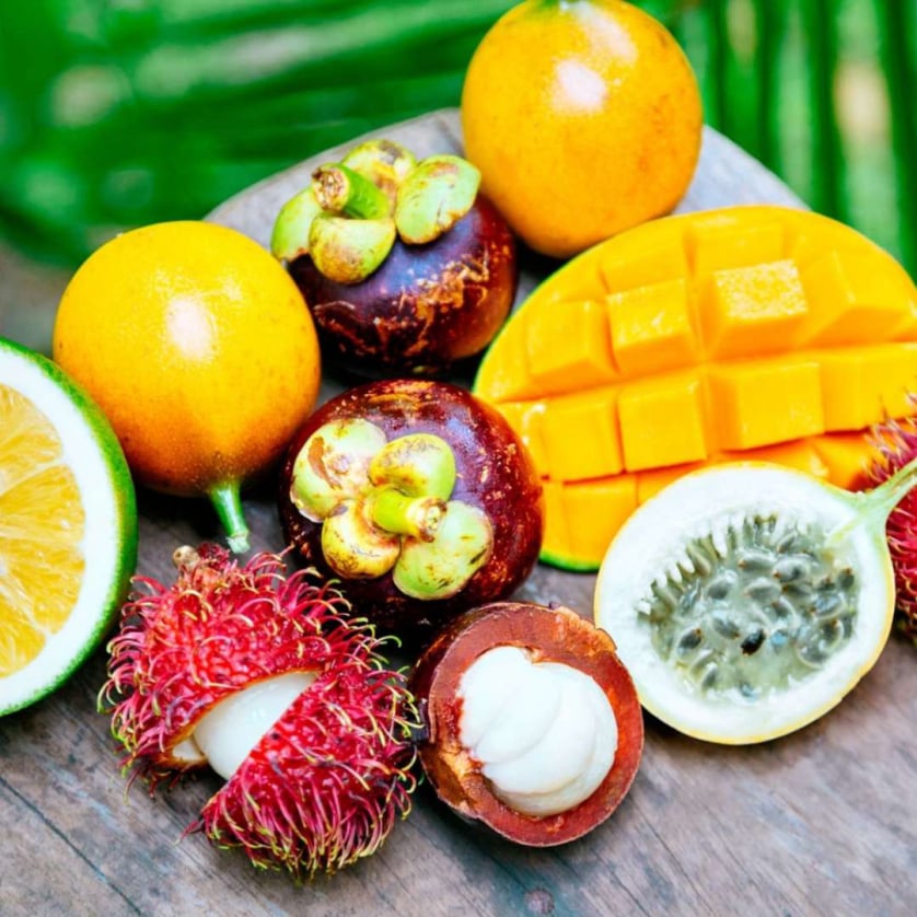 Exoticplant Vivaio di Francesco Maule