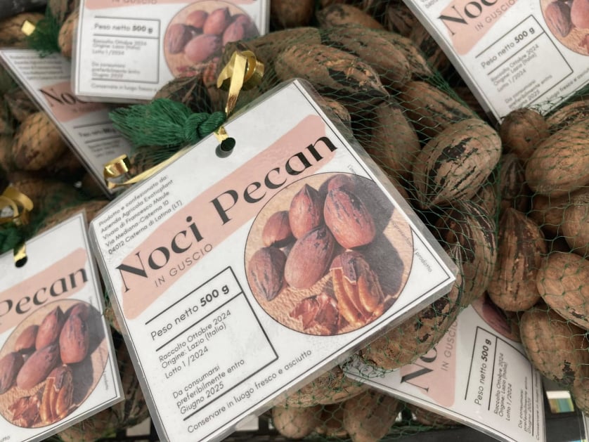 Exoticplant Vivaio di Francesco Maule